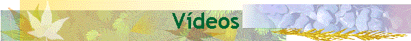 V�deos